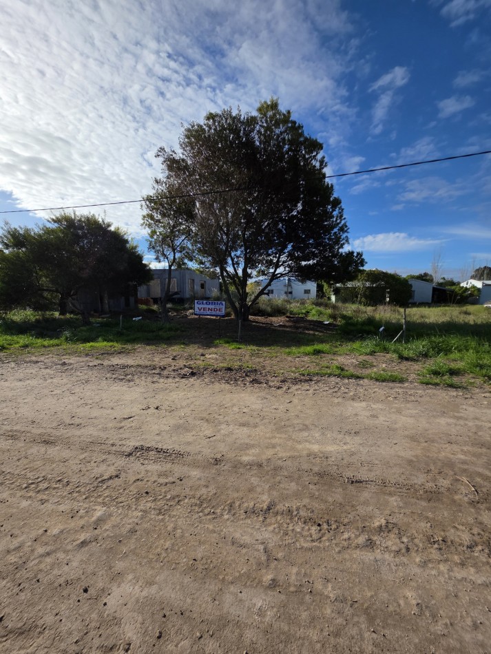  AMPLIO LOTE FORESTADO EN UNA UBICACION IDEAL
