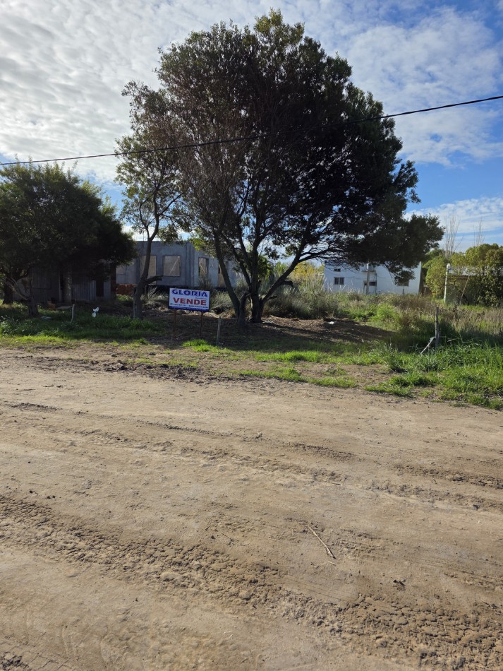  AMPLIO LOTE FORESTADO EN UNA UBICACION IDEAL