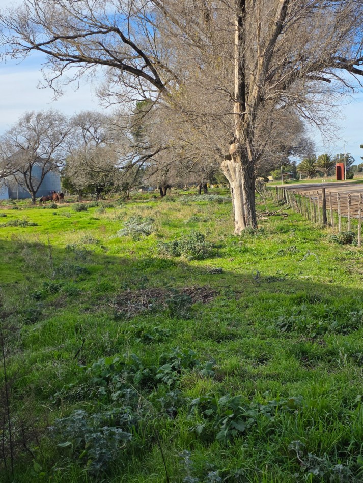  AMPLIO GALPON SOBRE UNA HECTAREA - en Oriente