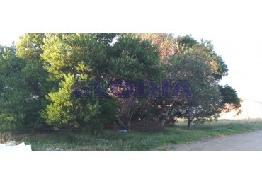 LOTE EN VENTA