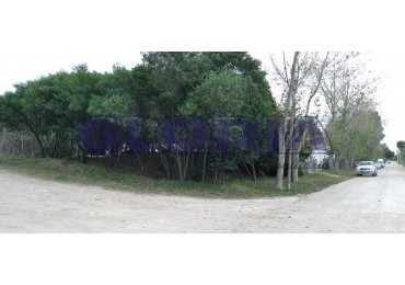 Lote esquina en Marisol con Excelente Proyeccion Comercial o residencial